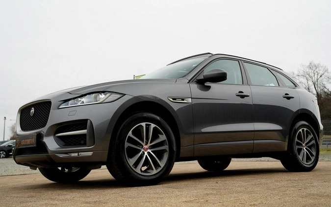 Jaguar F-Pace cena 104700 przebieg: 120157, rok produkcji 2019 z Otmuchów małe 781